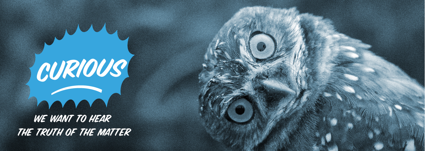 Curious - Marketing Department values