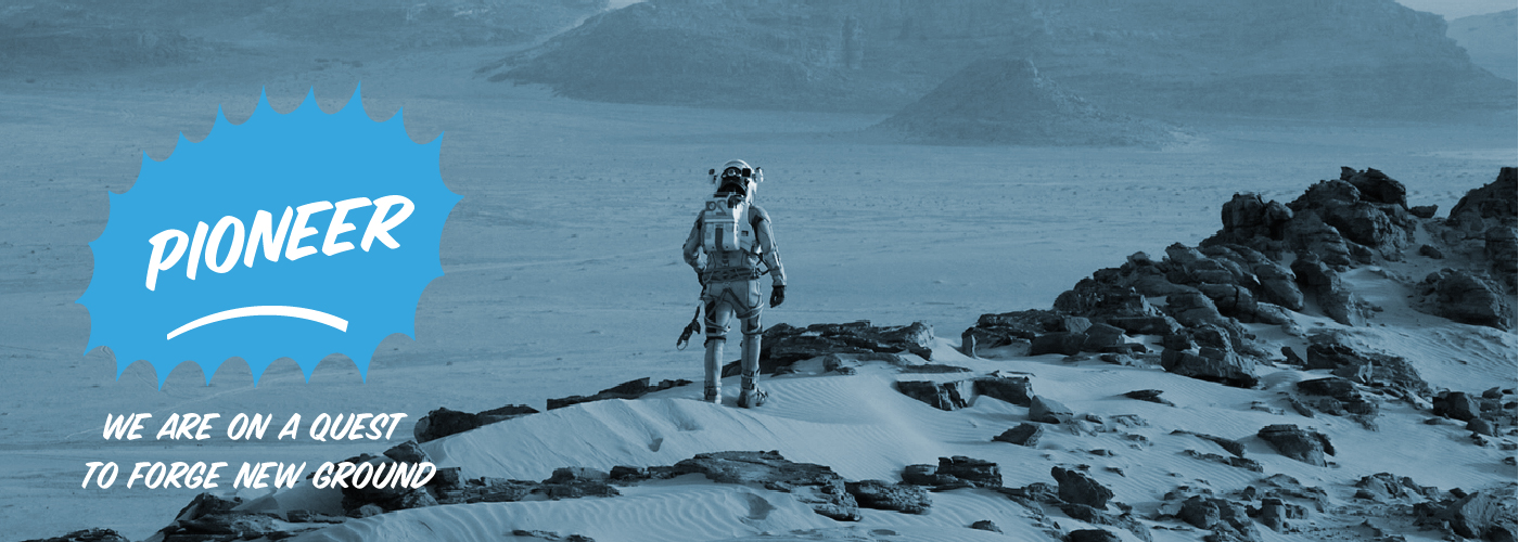 Pioneer - Marketing Department values